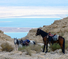 Israel-South-Judean Desert to the Dead Sea Ride